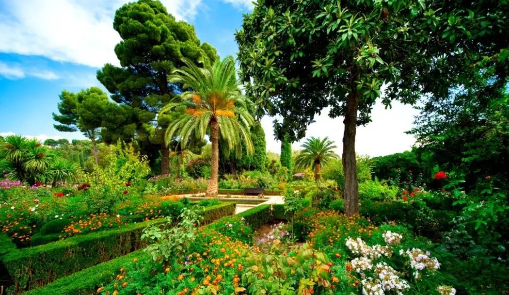 A breathtaking view of trees and plants in the Generalife Gardens